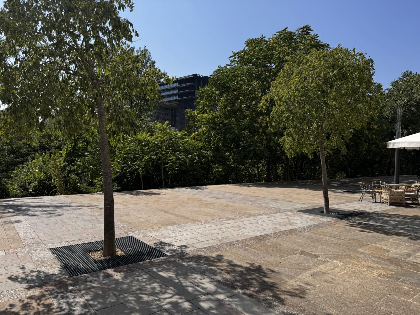 Image_, Local commercial, Montpellier, ref :3446