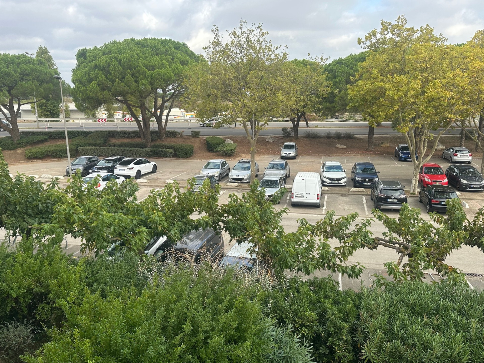 Image_, Studio, Carnon, ref :34401