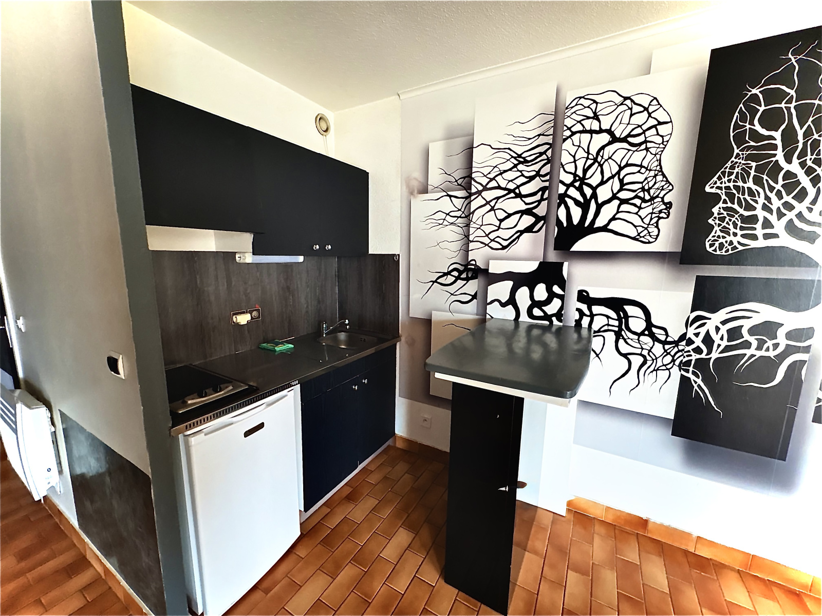 Image_, Appartement, Carnon, ref :1002