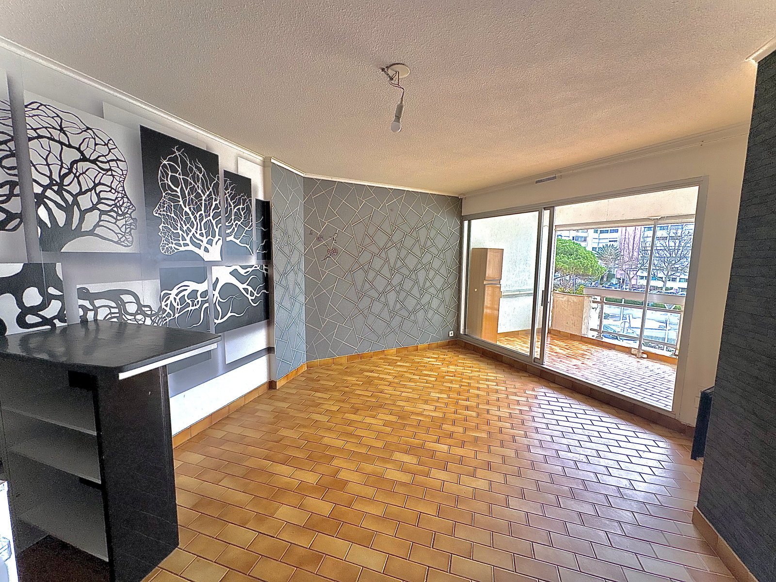 Image_, Appartement, Carnon, ref :1002