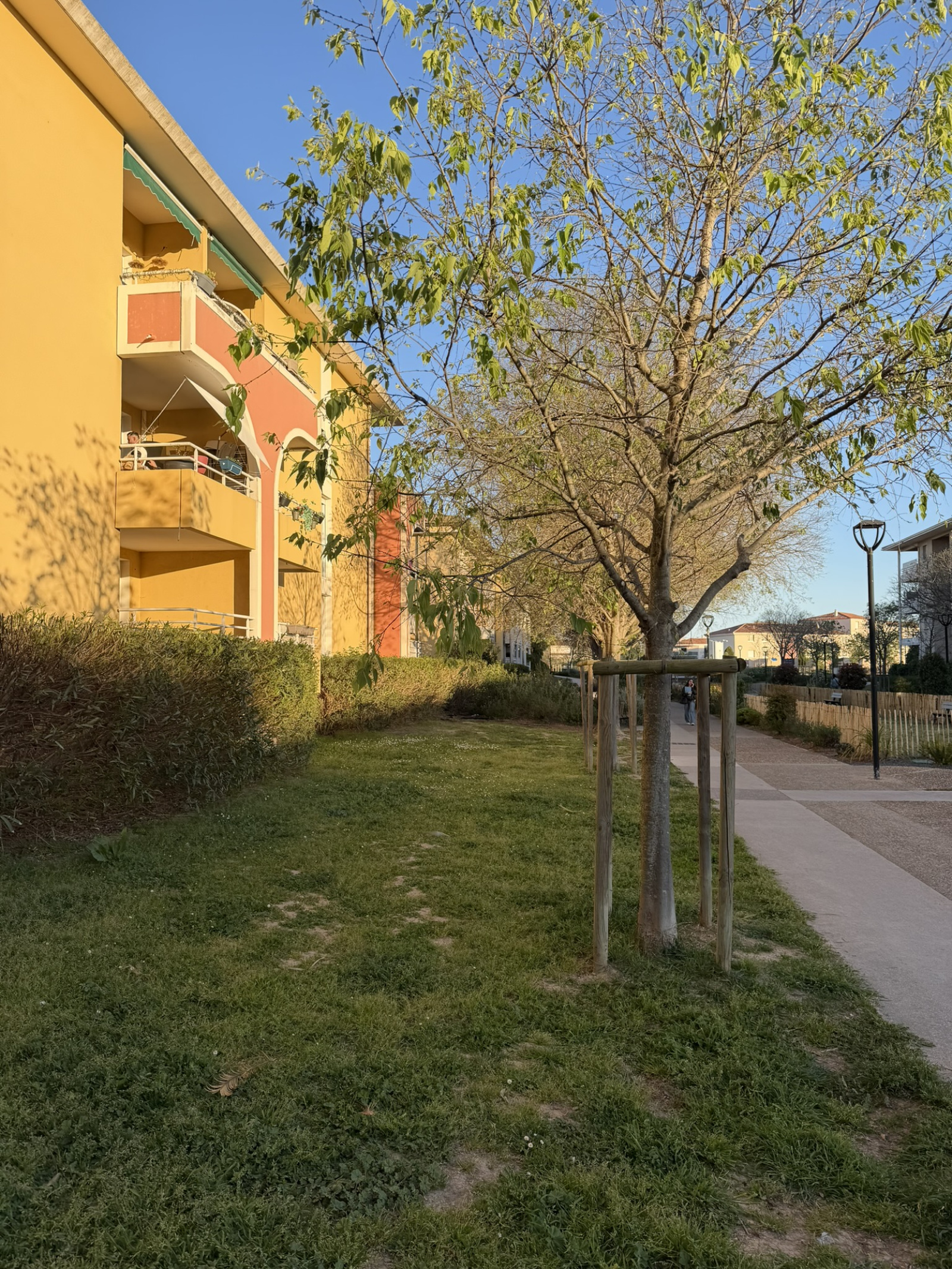 Image_, Appartement, Lattes, ref :SNM3495.18