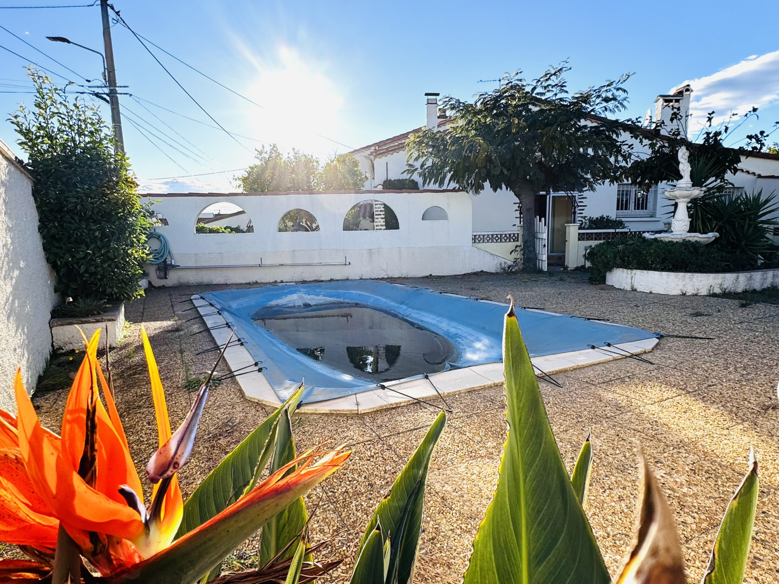 Image_, Villa, Canohès, ref :snm345612