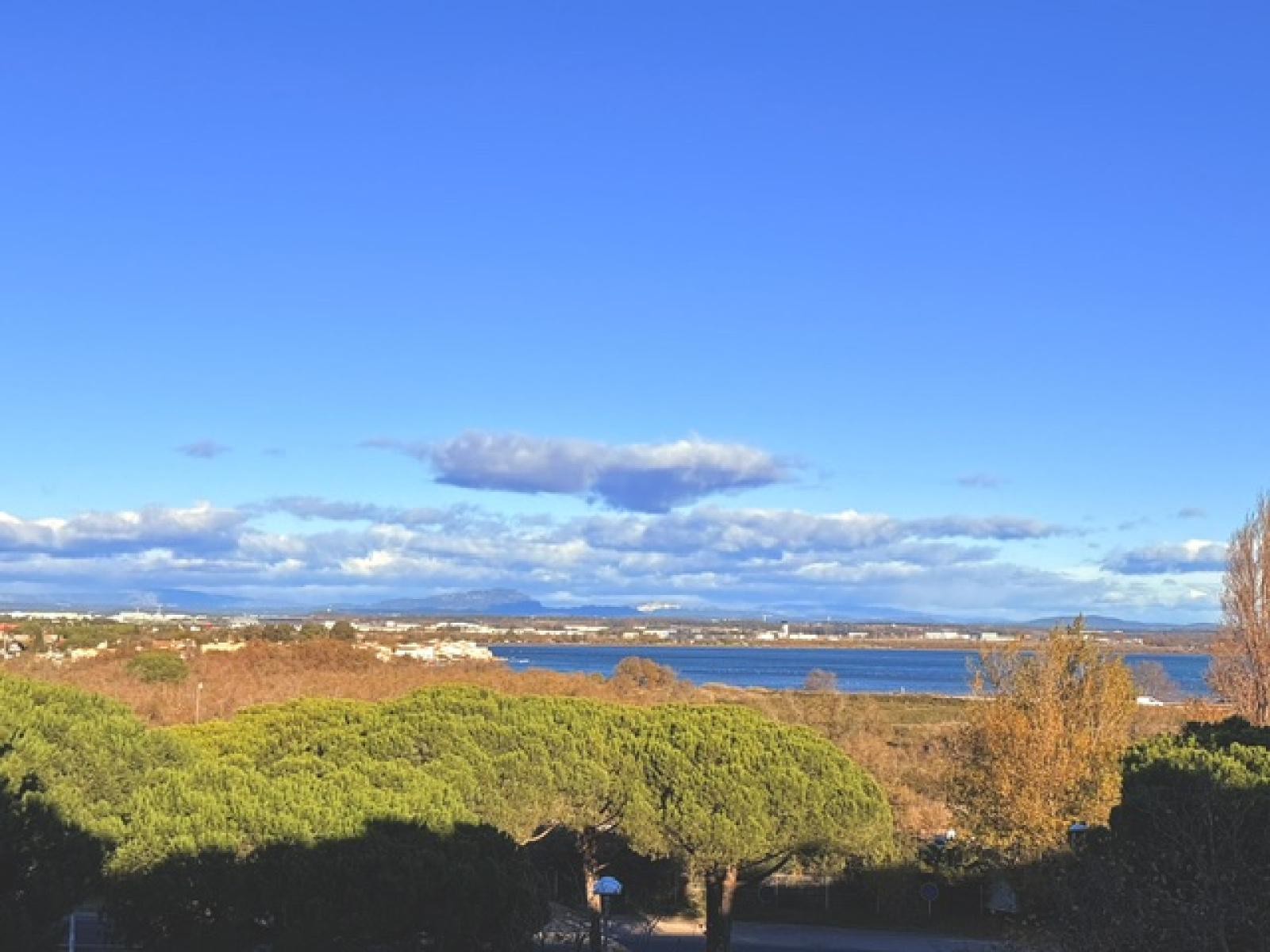 Image_, Appartement, Mauguio, ref :2511