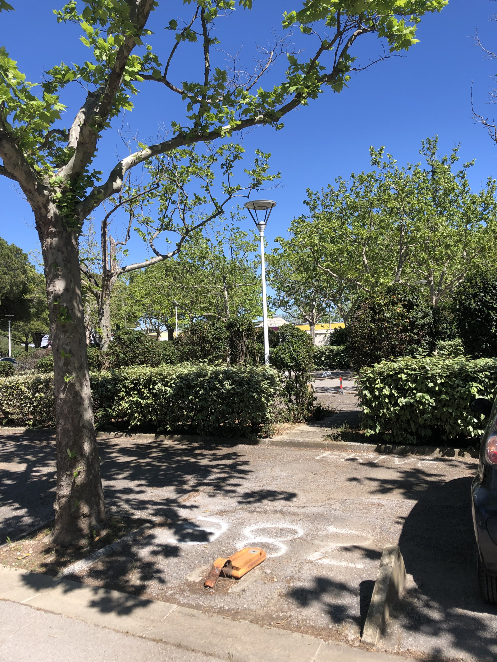 Image_, Appartement, Carnon, ref :00120