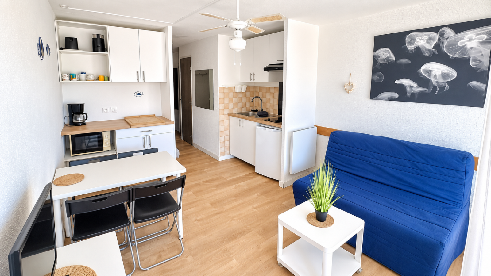Image_, Appartement, Le Grau-du-Roi, ref :0307