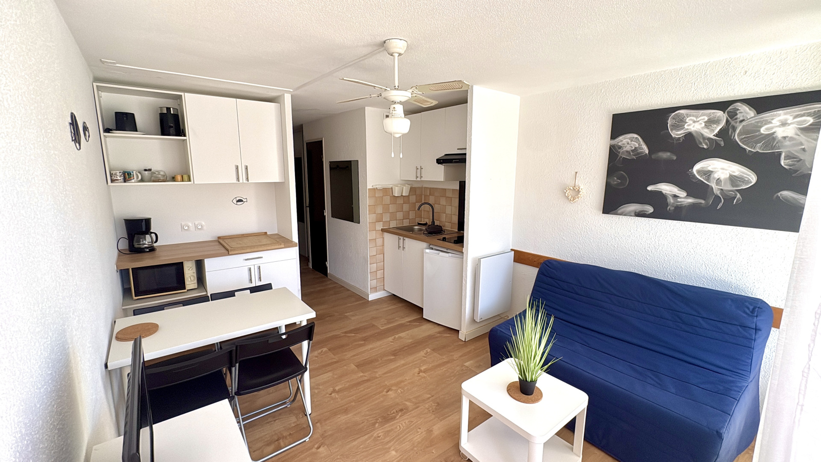 Image_, Appartement, Le Grau-du-Roi, ref :0307