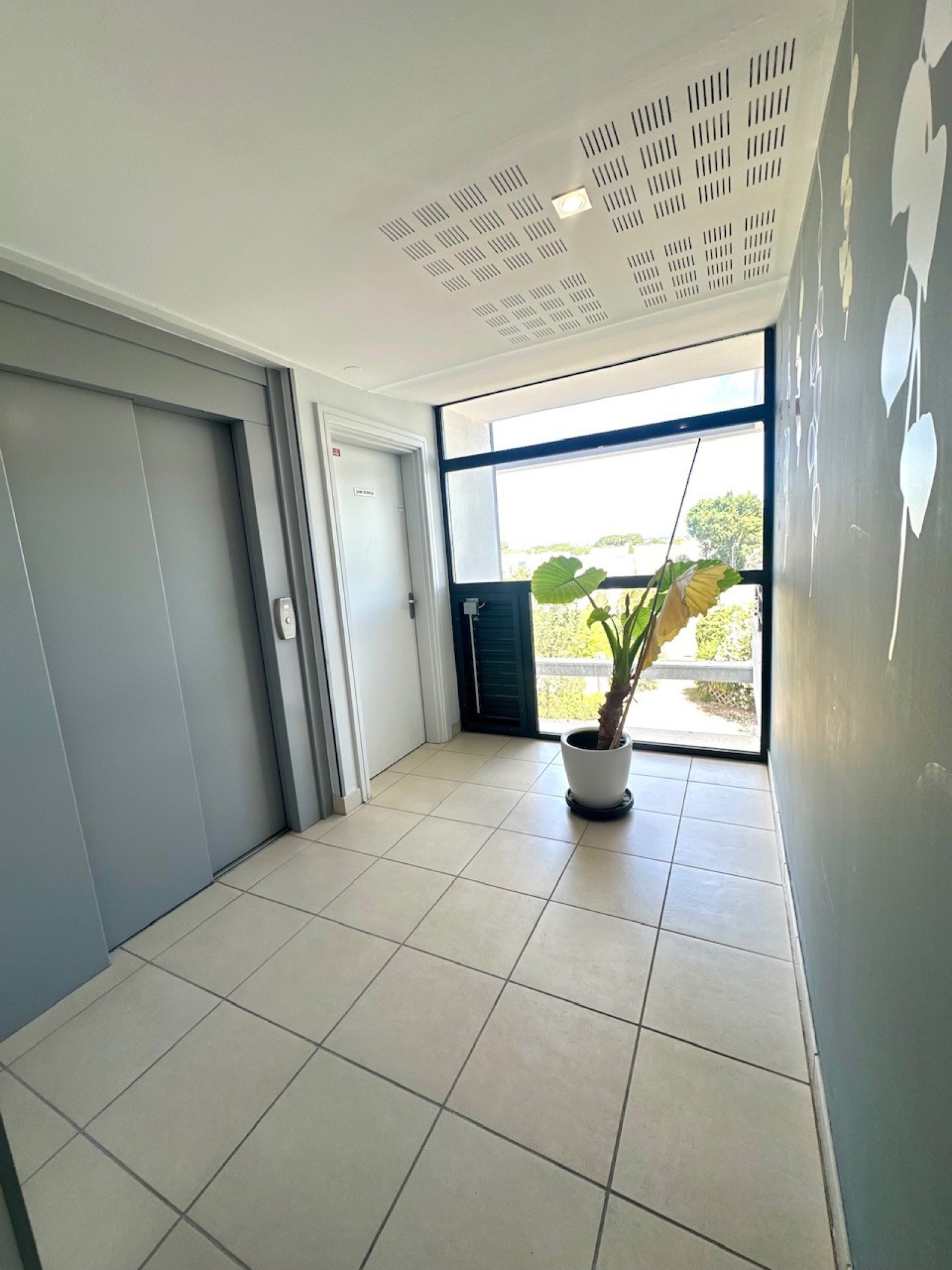 Image_, Appartement, Carnon plage, ref :3529