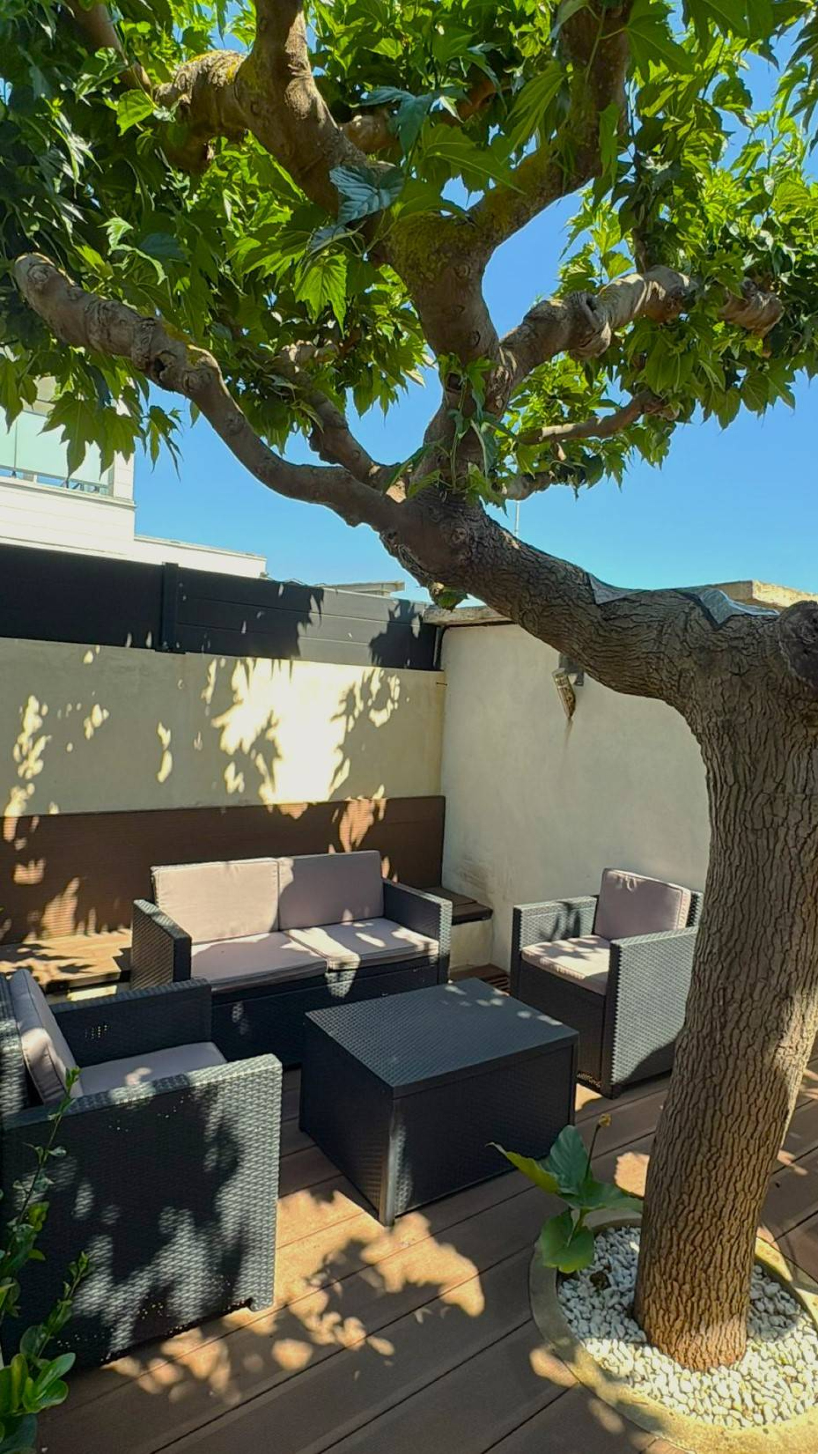 Image_, Maison, Carnon plage, ref :312