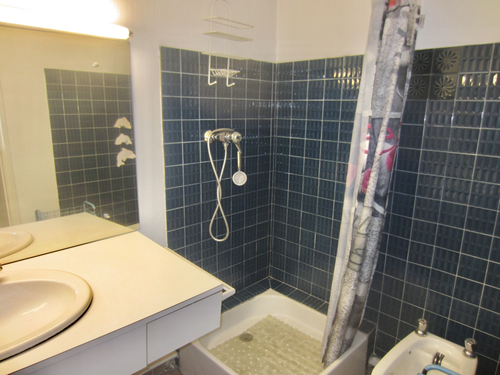 Image_, Appartement, Carnon, ref :649