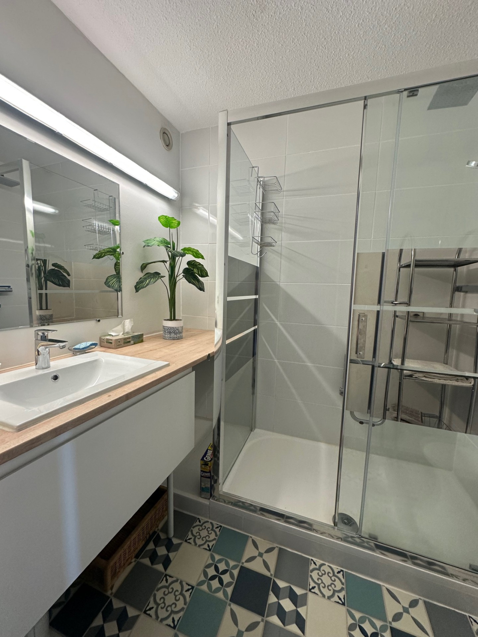 Image_, Appartement, Carnon plage, ref :3501