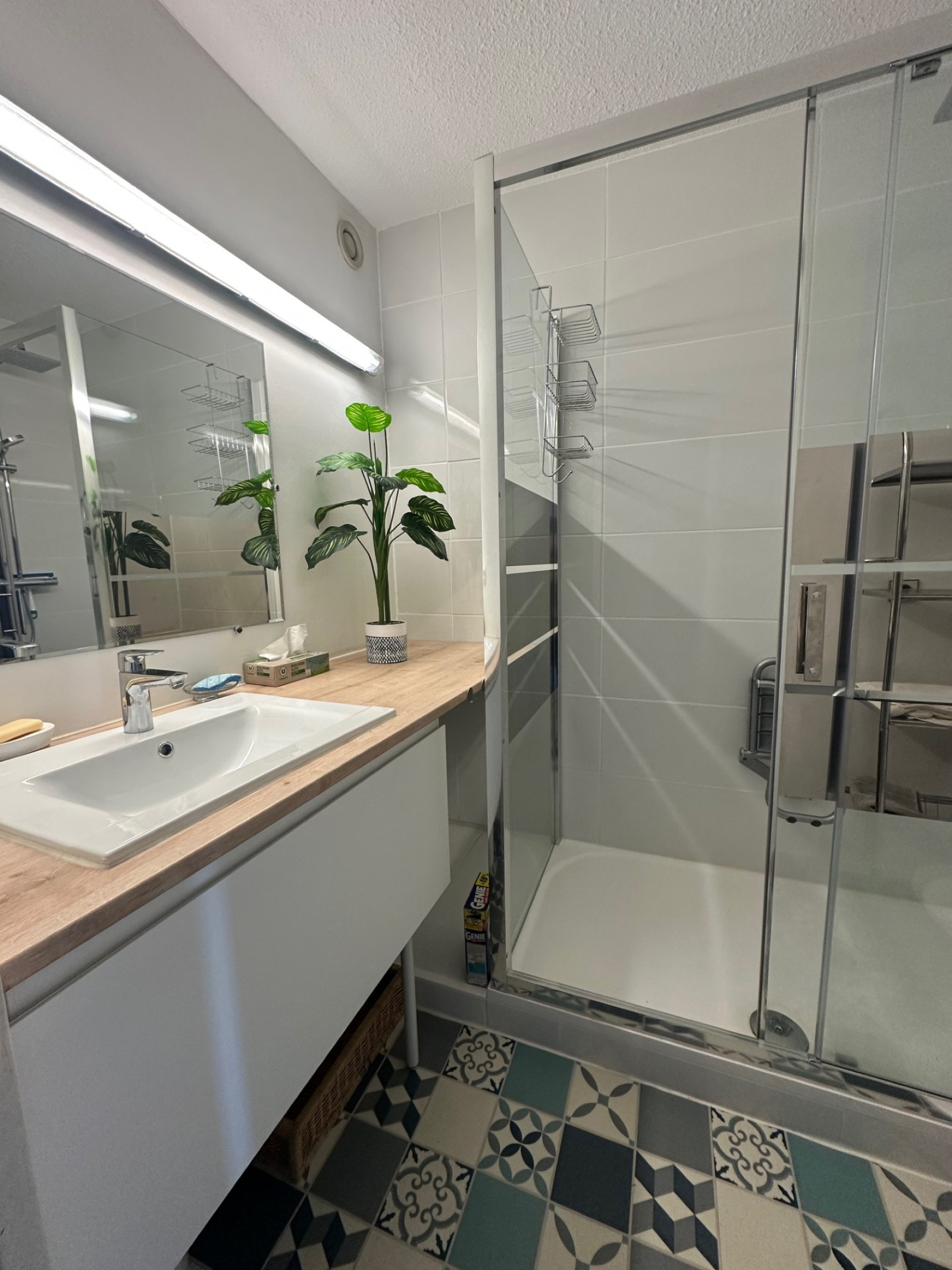 Image_, Appartement, Carnon plage, ref :3501