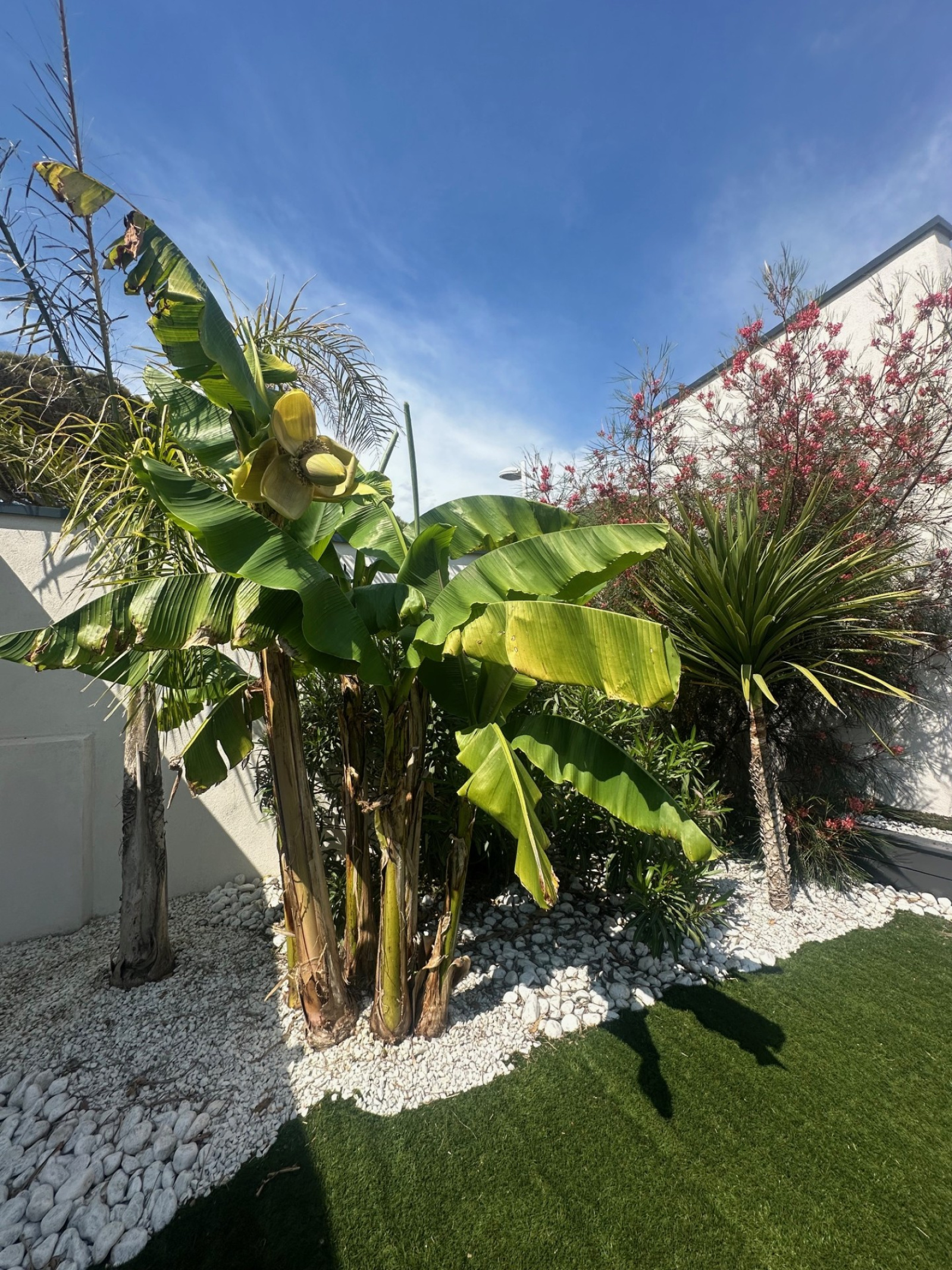 Image_, Villa, Carnon plage, ref :3474