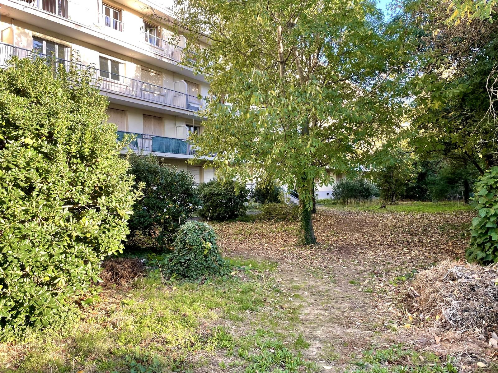 Image_, Appartement, Montpellier, ref :1312